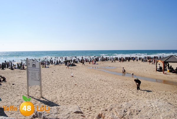 yaffa people 811 (35).JPG